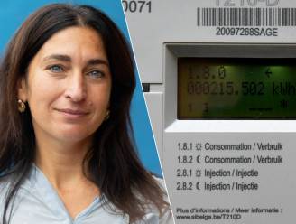 Auditeur Raad van State adviseert om Vlaamse klacht tegen terugdraaiende teller in Wallonië onontvankelijk te verklaren