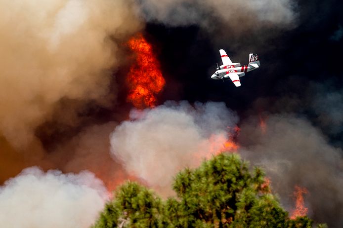 Onder meer de toename van bosbranden is door aanhoudende droogte en hitte, een gevolg van de klimaatverandering.