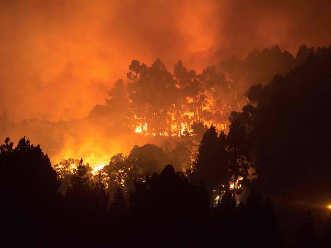 Nu al 4.000 evacuaties door bosbranden Gran Canaria