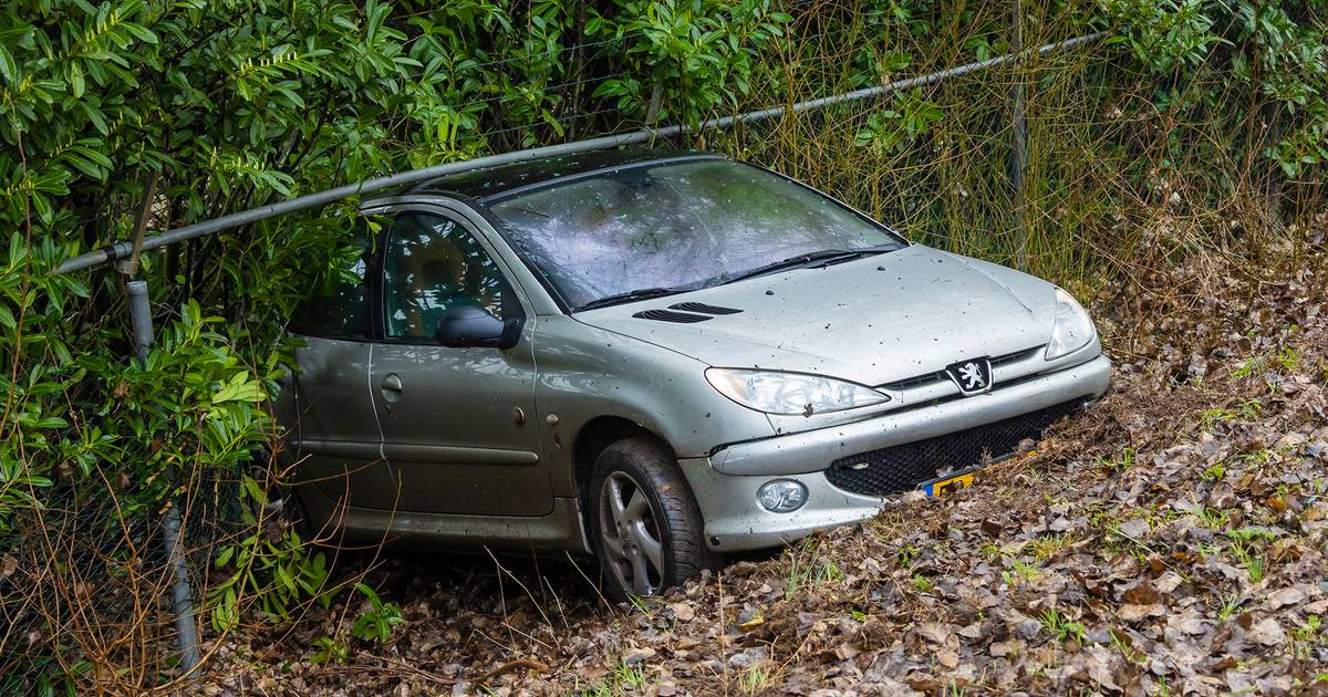 Auto schiet uit de bocht en eindigt achterstevoren aan andere wegzijde in Lithoijen - De Gelderlande