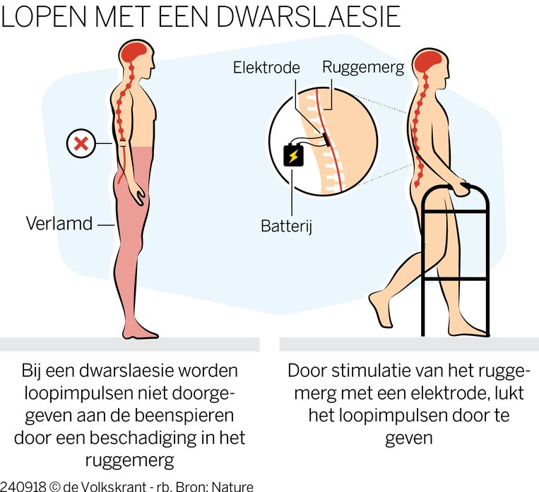 null Beeld 
