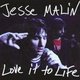 Jesse Malin - Love it to Life