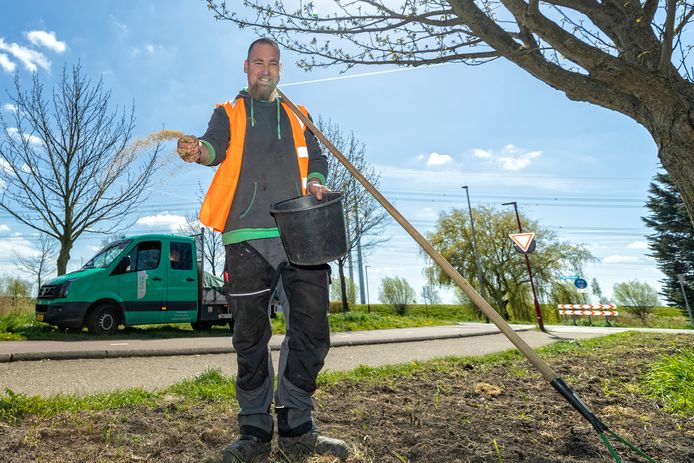 Hovenier Robin van Domselaar zaait een bloemenstrook in ter gelegenheid van de Nationale Zaaidag