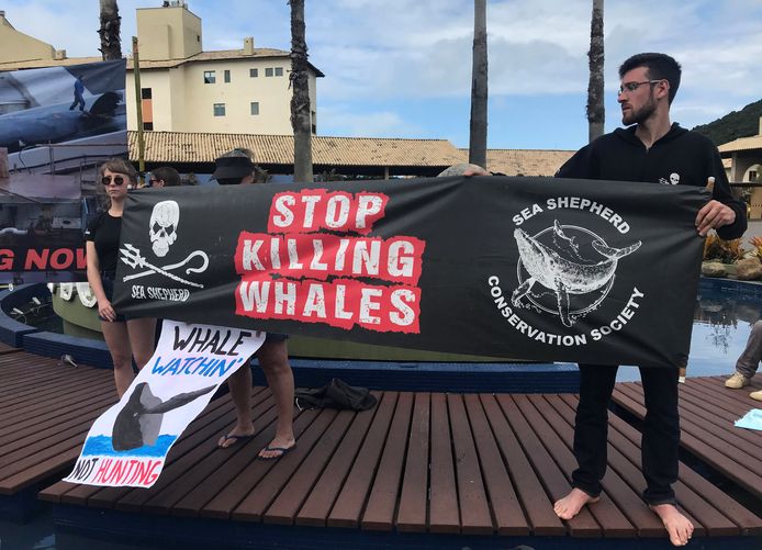 Actievoerder demonstreren bij de conferentie in Brazilië tegen de walvisjacht.