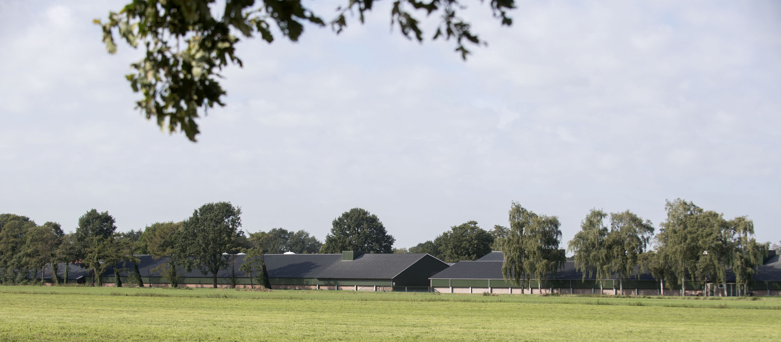 Pluimveebedrijf aan de Slaghekkenweg in Borculo vanaf de Planetkampsweg gezien