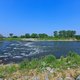 Natuurmonumenten daagt Rijkswaterstaat voor de rechter over kappen van begroeiing langs rivieren