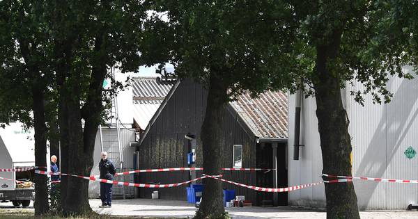 Coronavirus ontdekt op nertsenfokkerij in Ledeacker | Brabant - BN DeStem