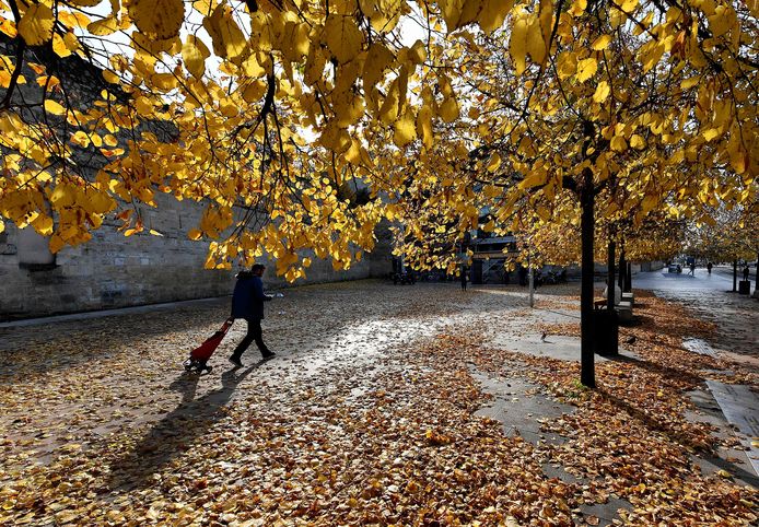 Een man loopt over een plein bedekt met herfstbladeren in Bordeaux.