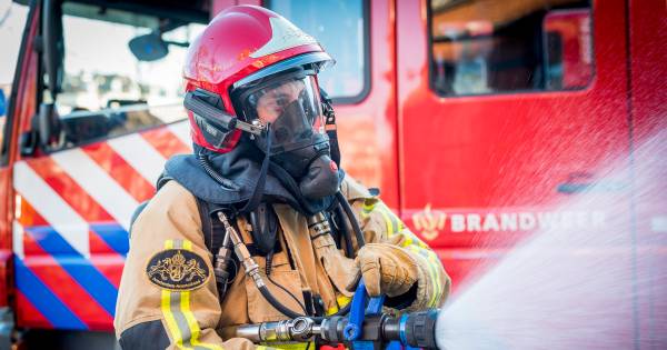 '... de politie is onlangs ‘ongebruikelijk duidelijk geweest dat de grenzen a/d inzetcapaciteit zijn bereikt'.