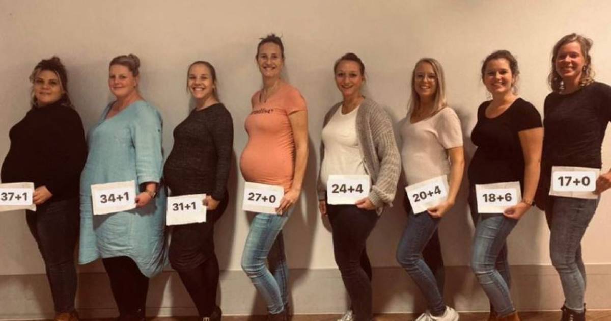 Babyboom op kraamafdeling: tien verpleegkundigen tegelijk zwanger