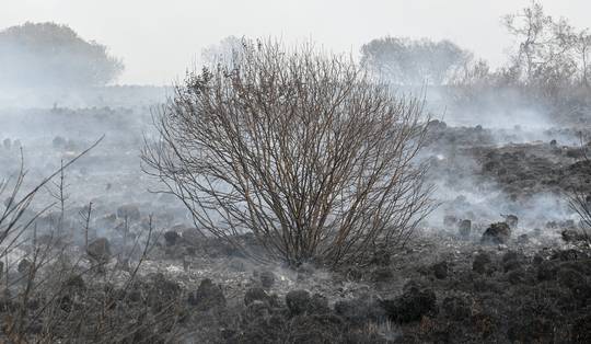 België moet de klimaatstrijd boven het communautaire conflict plaatsen, want het klimaat kent geen grenzen
