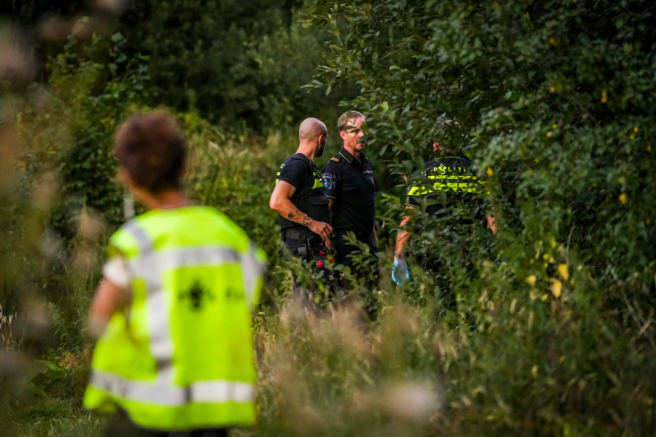 Lichaam van Franse man (38) gevonden in de bosjes bij Oirschotsedijk