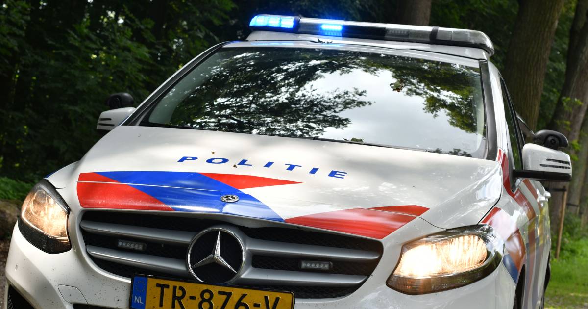 Loslopende hond in Gilze bijt andere hond dood Binnenland AD.nl