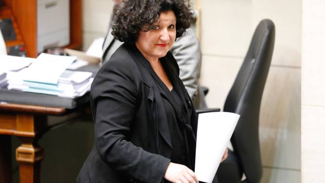 Turtelboom opposée aux perquisitions menées par le fisc