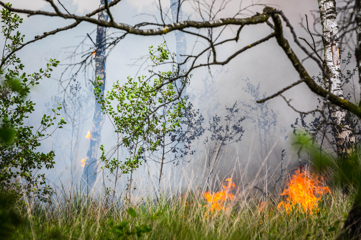 Brand in de Mariapeel in Brabant.