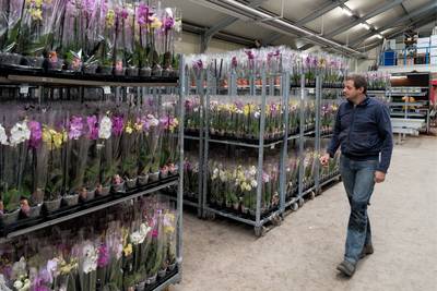 Altena zoekt inwoners Andel op om te praten over huisvesten arbeidsmigranten bij orchideeënkwekerij