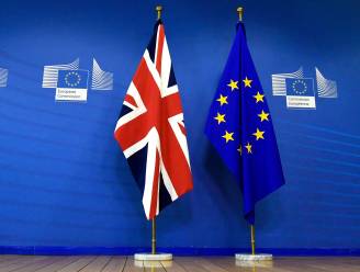 Britse parlementaire commissie waarschuwt voor vertraging van Brexit