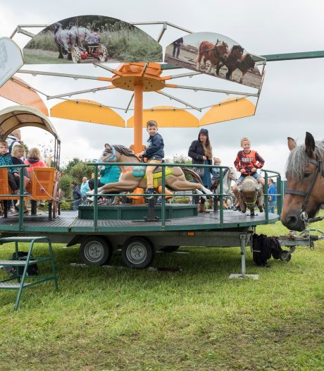 Hitteprotocol ook voor paarden van kracht tijdens de Burghse Dag