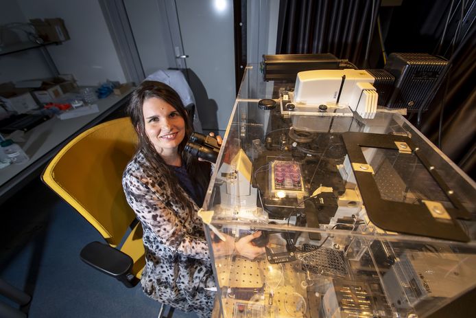 Verena Schwach gebruikt kloppende menselijke hartspiercellen die gekweekt zijn op een chip voor haar onderzoek naar hartritmestoornissen.