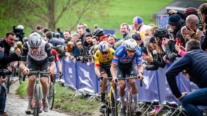 Jumbo-Visma moet met Van der Poel én Pogacar afrekenen om ook de Ronde van Vlaanderen te winnen 