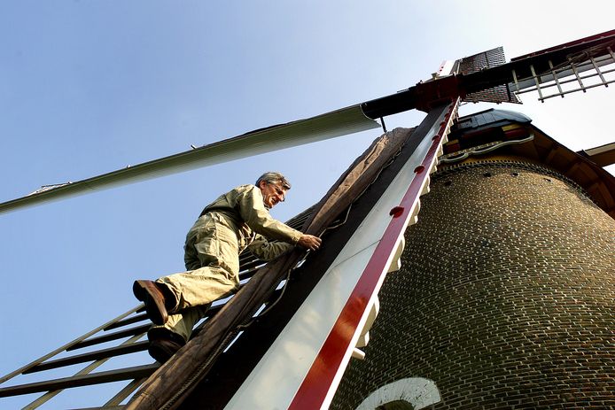 De Oisterwijkse molenaar Hub van Erve klimt in de wieken van de Kerkhovense molen