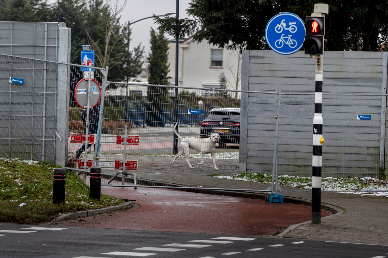 Afsluiting Halsterseweg leidt tot bizarre situaties ‘Mensen lopen door de berm langs de Randweg