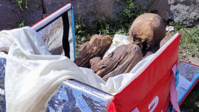 Peruaanse koerier loopt rond met eeuwenoude mummie in koeltas: ‘Mijn spirituele vriendin’