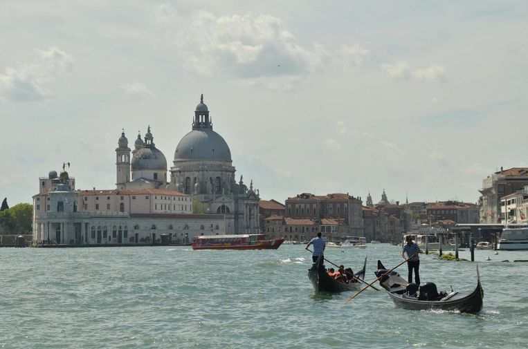 'Venetië, die stad is volkomen up-lifting voor je ziel.' Beeld  