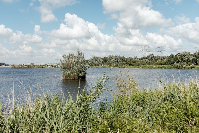 De Noorder IJplas zoals hij nu is. Beeld Jakob van Vliet