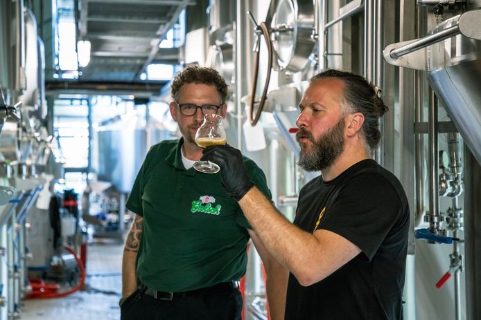 Grolsch en Craftbrouwers hebben samen het speciaalbiertje Vredespijpje gebrouwen.