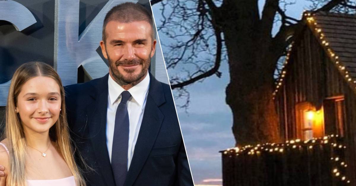 Harper Beckham owns his own treehouse worth €115,000 |  celebrities