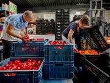 Overschot door Russische boycot waarschijnlijk naar voedselbank