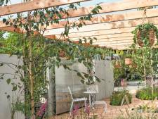 Ontstressen in de tuin: hoe meer struiken en bomen, hoe meer vogels je hoort fluiten