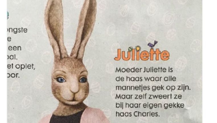 Hema Viert Pasen Met Hazen Met Enorme Stijve Oren De Volkskrant