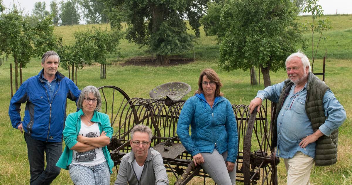 Opijnen vecht voor de zwarte populier