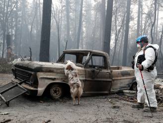 “Bosbranden Californië pas eind november onder controle. Dit is ongekend”
