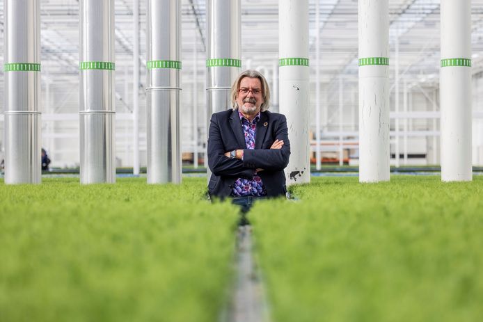 Ondernemer Rob Baan bij cressenbedrijf Koppert Cress.