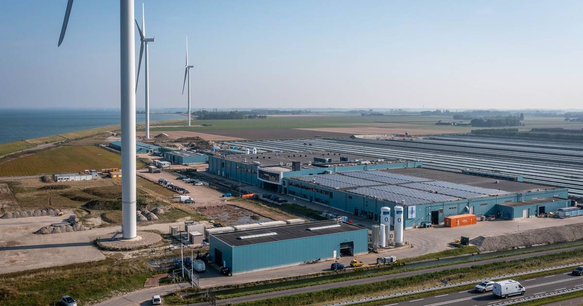 Viskwekerij Kingfish belooft winst na jaren van investeringen