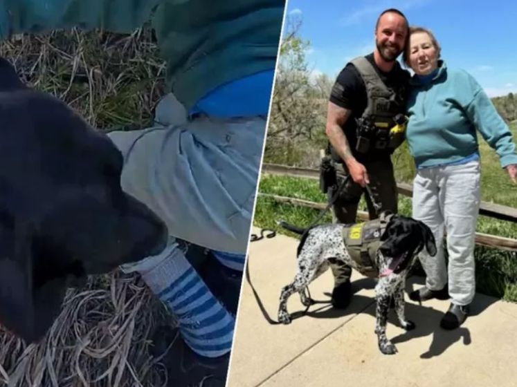 Un policier et son chien sauvent une femme disparue en seulement dix minutes: “Un incroyable duo”