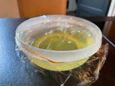 Last van fruitvliegjes in je keuken? Met deze tips voorkom en bestrijd je ze