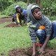 Standard Chartered ruilt eigen CO2-uitstoot tegen bomen in Afrika, via Rabobank-project
