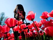 Zonnig weekend voor de boeg