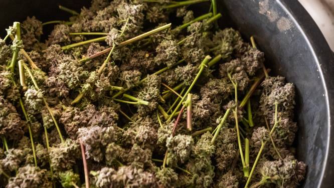 70 kilo softdrugs in Veenendaalse loods: OM eist werkstraffen, geldboetes en voorwaardelijke celstraffen 
