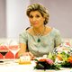 Koningin Máxima ontslagen uit ziekenhuis