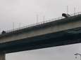 Un drame évité de justesse: une voiture se retrouve sur la glissière d'un pont après un accident sur l’E42