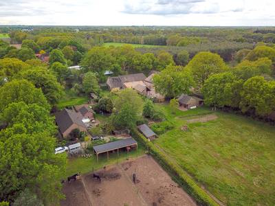Het leek einde verhaal voor de paardenstal van Piet (89) in Liessel, maar nu schiet de buurvrouw hem