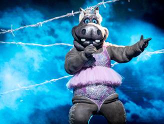 POLL. Wie zit er achter de maskers van Hippo, Tovenaar en co in ‘The Masked Singer’?  Vertel ons jouw gok