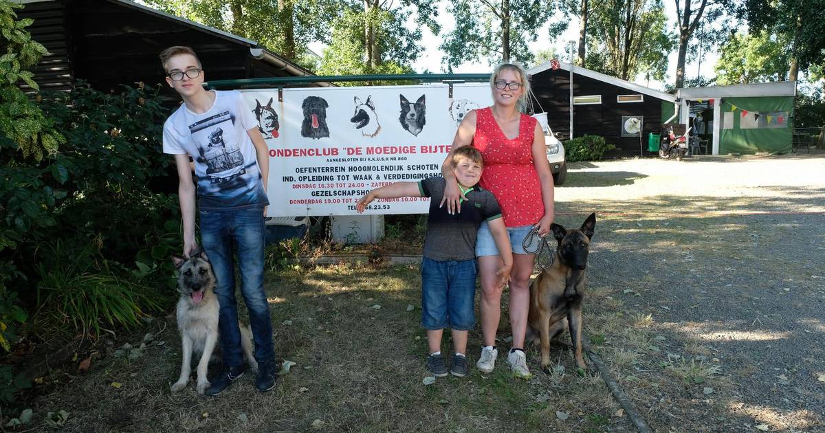 Ongewijzigd Mauve Bevoorrecht Getrainde hond maakt meer kans op adoptie" | Schoten | hln.be