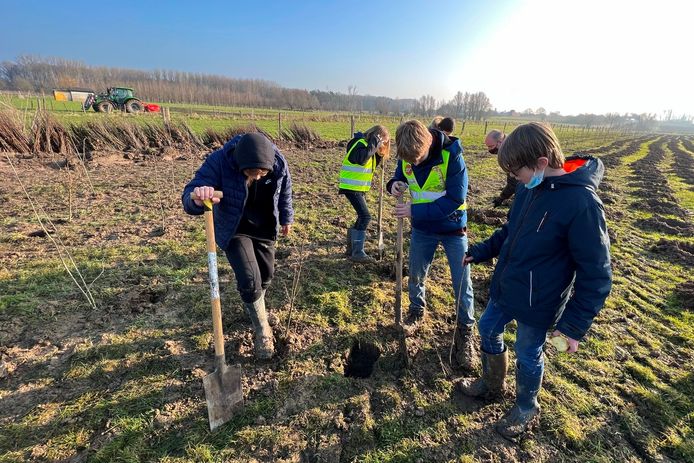 Leerlingen van de Vrije Basisscholen Sterreneiland van Smetlede en Wanzele hielpen maandag mee met het planten van 2,7 hectare extra bos in de Vallei van de Serskampse Beek.