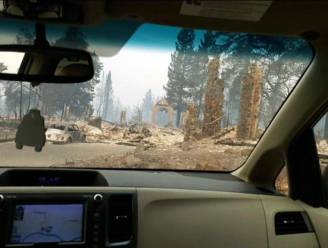 "Dit is een mirakel": hele buurt is volledig platgebrand in Californië, behalve het huis van deze Vlaming